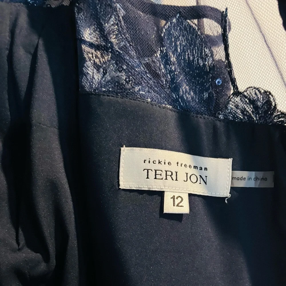 Teri Jon Navy Maxi Dress with Silver Floral Embroidery - Picture 11 of 14